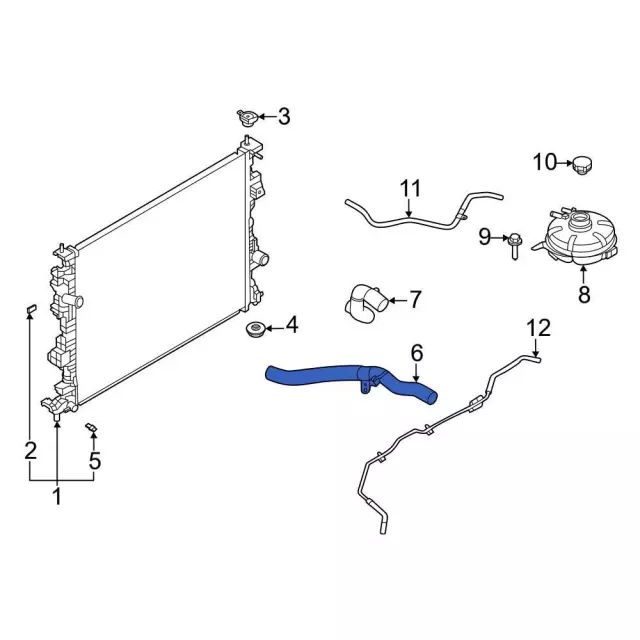 Hose Radiator - Ford (LX6Z-8260-AE)