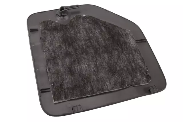 Compartment Door - GM (84168821)