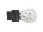 9T4Z13466A - Unclassified: 2009-2024 Ford - Stop Lamp Bulb for Ford: Bronco Sport, E-150, E-250, E-350 Super Duty, Edge, Escape, Expedition, F-150, F-250 Super Duty, F-350 Super Duty, F-450 Super Duty, Fiesta, Focus, Mustang, Police Interceptor Sedan, Ranger, Special Service Police Sedan | Lincoln: Navigator Image