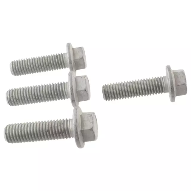 W500435S439 - Steering: Damper Screw for Ford: F-250 Super Duty, F-350 Super Duty, F-450 Super Duty Image