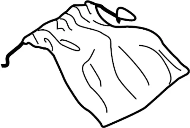 283133GH0A - Electrical: Storage Bag for INFINITI: JX35, QX56, QX60, QX80 Image