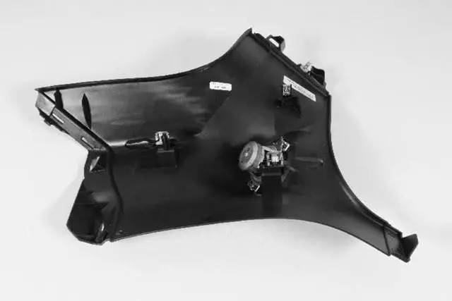 D Pillar Molding, Right - Mopar (1GG60DX9AE)