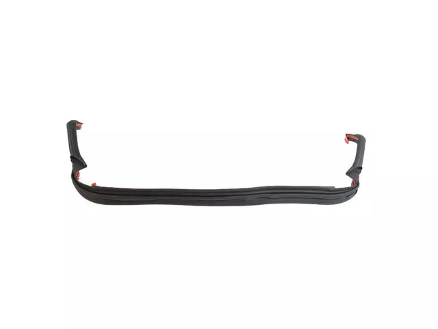 Rear Aperture Panel Glass Weatherstrip - Alfa Romeo (68290847AA)
