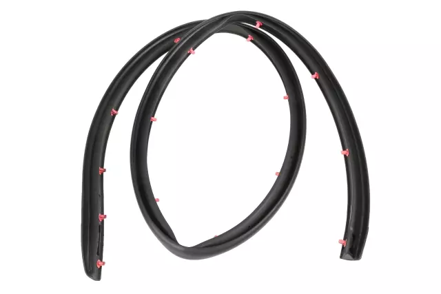 26674462 - Body: Lower Weather-strip for Buick: LaCrosse Image