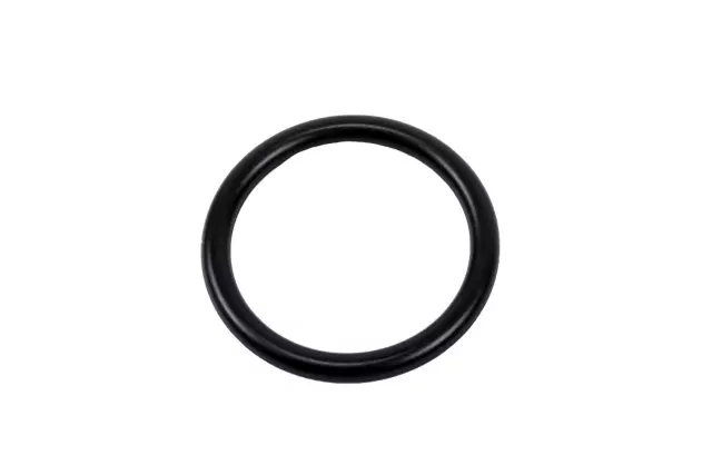 Engine Coolant Pipe O-Ring - GM (55353331)