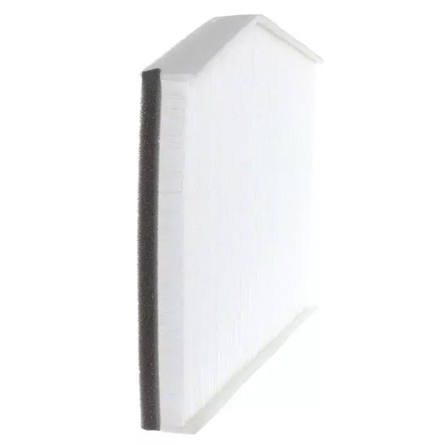 Air Filter - Ford (BK2Z-19N619-A)