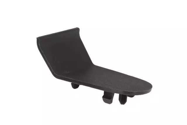 15875821 - Body: Handle Cover for Buick: Enclave Image