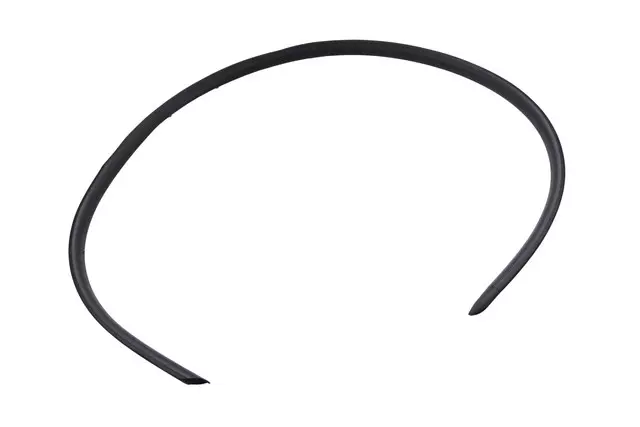 23166517 - : Weatherstrip - Passenger Side (RH) for Chevrolet: Traverse, Traverse Limited Image