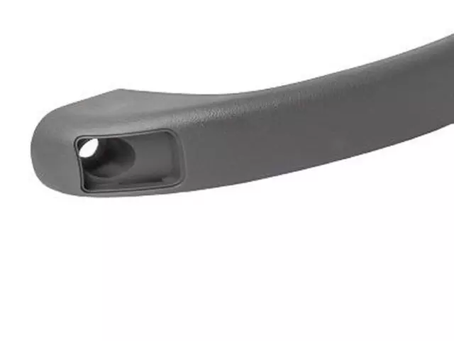 OEM NEW 04-11 Ford Ranger Interior Roof Headliner Grip Assist 4L5Z-1031406-AAB - Ford (4L5Z-1031406-AAB)