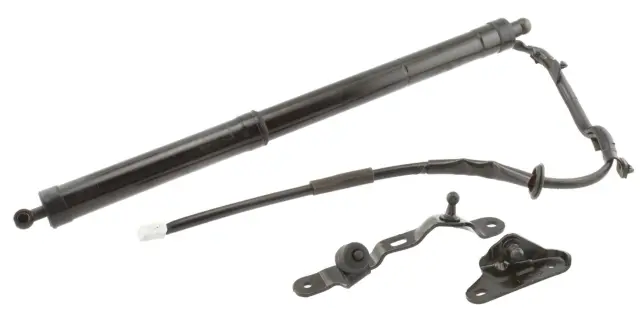 2Q587987 - Exterior: Stabilus Liftgate Lift Support (L) for Stabilus Image