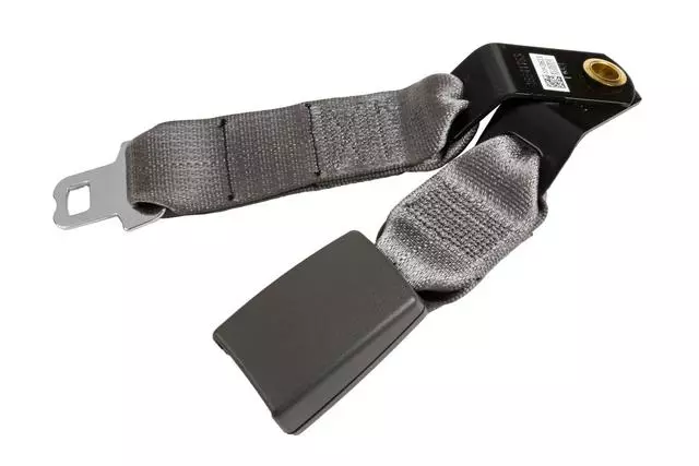Medium Dark Pewter II Rear Seat Belt with Buckle - GM (19300349)