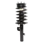 816339 - : PRT 816339 Suspension Strut and Coil Spring Assembly for PRT PERFORMANCE RIDE Image