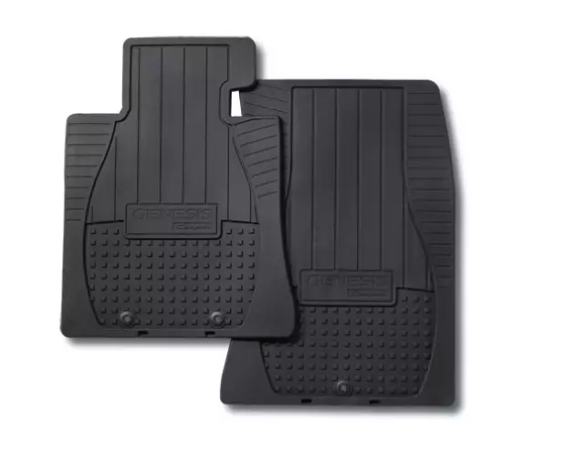 Floor Mat - Hyundai (U81302M600)