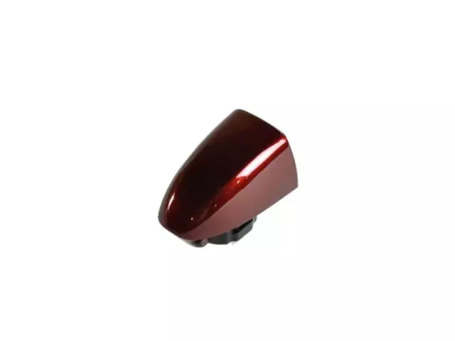 1YB53NRVAB - Doors, Door Mirrors and Related Parts: Door Handle Cap, Right for Chrysler: 200 Image