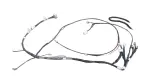821710RD42 - : Wire Roof for Toyota Image