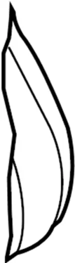 876111CC2A - Body: Seat Back Pad for Infiniti Image