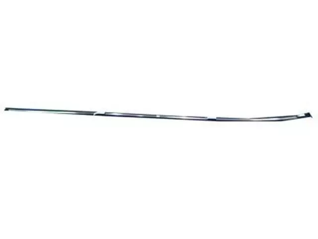 Roof Molding - Ford (CJ5Z-7850462-AC)