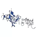 LX6Z14290BL - Electrical: Wire Harness for Ford: Bronco Sport Image