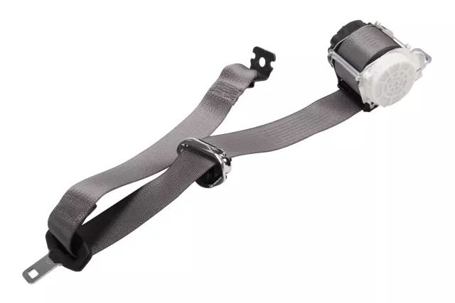 42692899 - Electrical: Outer Belt Assembly for Chevrolet: Bolt EV Image