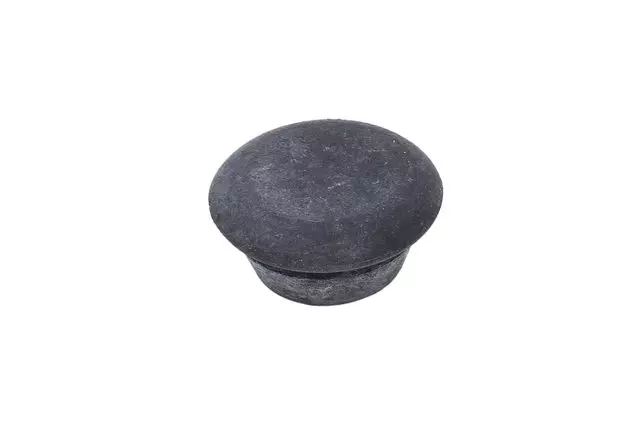 Multi-Purpose Plug - GM (25701146)