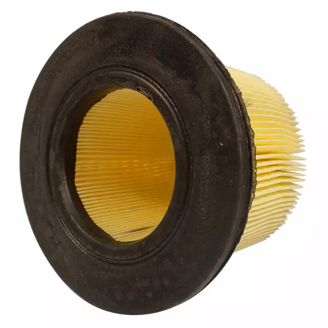 Engine Air Filter - Ford (F5OY-9601-A)