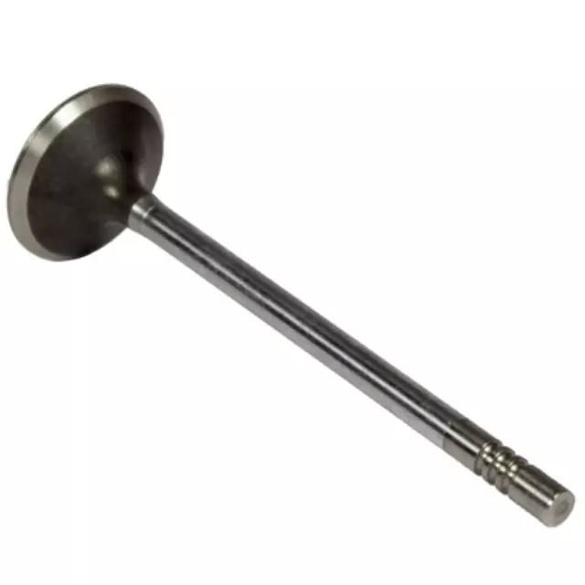Exhaust Valve - Ford (BR3Z-6505-A)