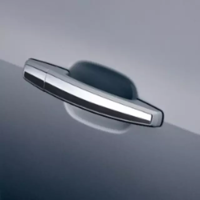 Door Handles, Crystal Red - GM (22817272)