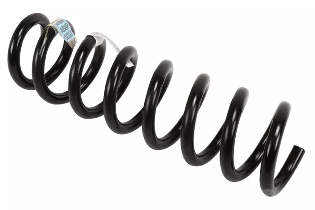Rear Coil Spring - GM (84789295)