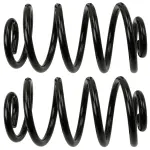81733 - : Coil Spring Set for Moog Image