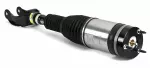 AS3411 - : Arnott Air Suspension Strut for Arnott Image