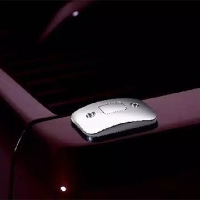 Bed Push-Up Tie Downs (Rear Stake Pocket) - GM (19417688)