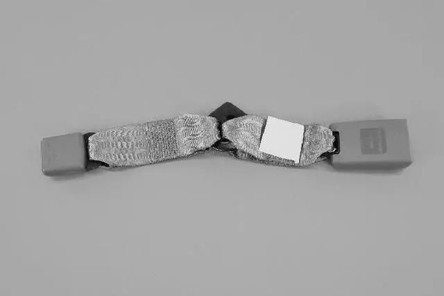 ZV931KAAB - Interior Trim: Rear Inner Seat Belt, Right for Dodge: Caliber Image