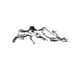 68427752AE - Electrical: Body Wiring for Mopar Image