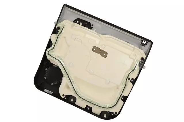 Door Trim Panel - GM (20919799)