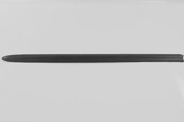 RQ49TZZAA - : Front Door Molding, Left for Chrysler: Town &amp; Country, Voyager | Dodge: Caravan, Grand Caravan Image