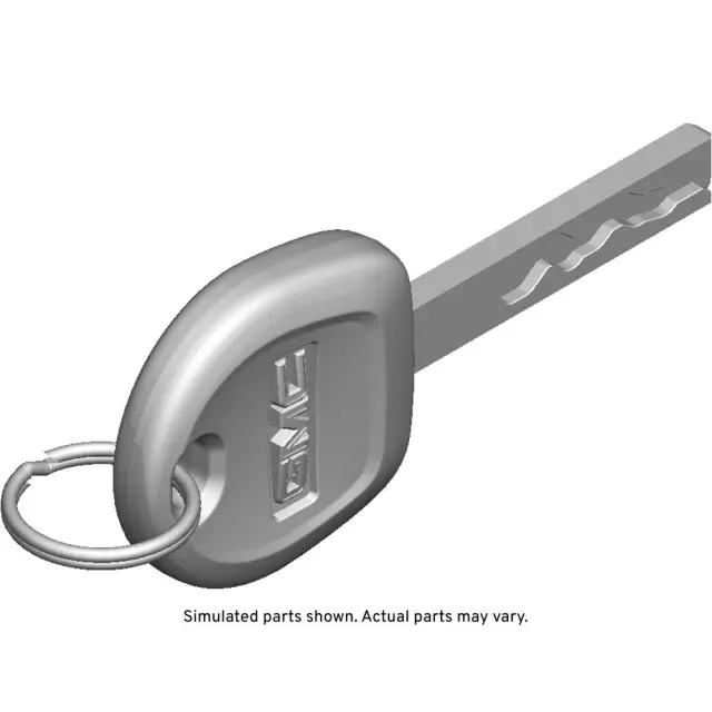 13520320 - : Door Lock And Ignition Key for GM Image