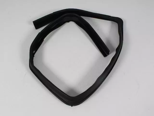 Door Glass Run Channel Weatherstrip, Left - Mopar (55395729AF)