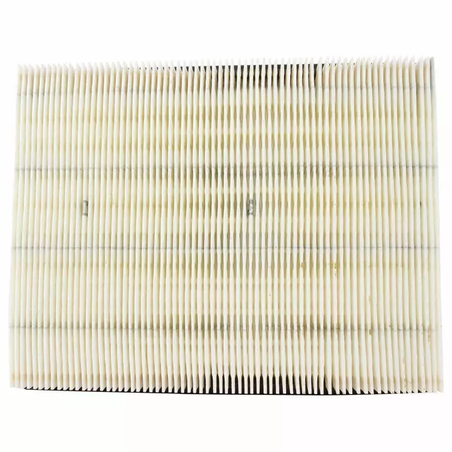 Air Filter - Ford (E6SZ-9601-B)