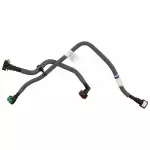 FL3Z9G297B - : Vapor Hose for Ford Image