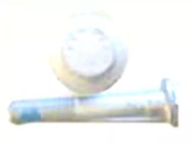 Engine Control Module (ECM) Bolt - Ford (W500222-S437)