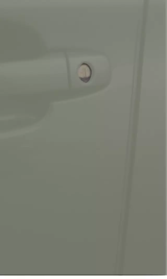 SOA801P010F5 - : Door Edge Guard Kit for Subaru Image