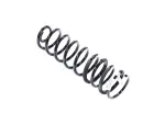 68262683AB - : Rear Coil Spring, Right for Ram: 1500 Image