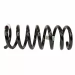 DG9Z5560S - : Coil Spring for Ford: Fusion, Police Responder Hybrid, SSV Plug-In Hybrid | Lincoln: MKZ Image