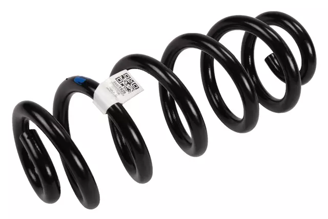 Rear Coil Spring - GM (84401929)