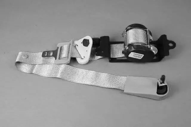 Rear Seat Belt, Right - Mopar (TS741D5AD)