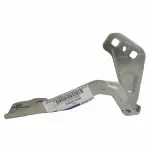 DP5Z16796A - : Hinge for Lincoln: MKZ Image