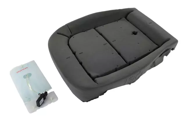 Occupant Sensor - GM (42711723)