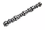 12593206 - : Camshaft for ACDelco Image