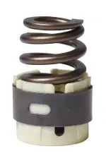 ERV1609 - : Engine Valve Spring for Enginetech Image
