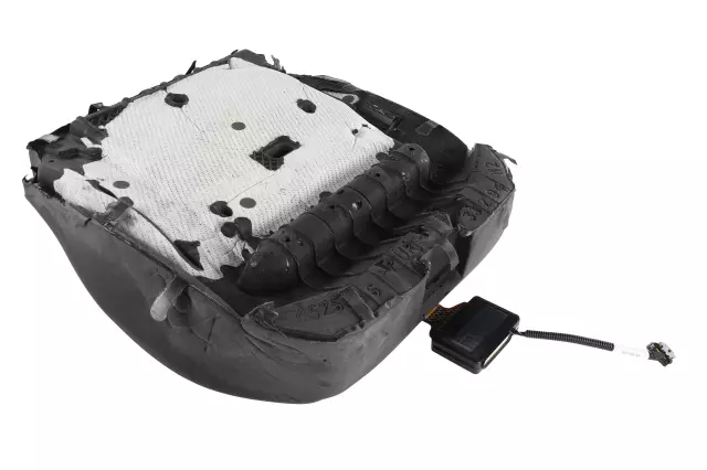 Seat Cushion Pad - GM (20824276)